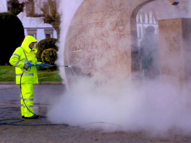 Local Pressure Washing Services in Presquille, LA